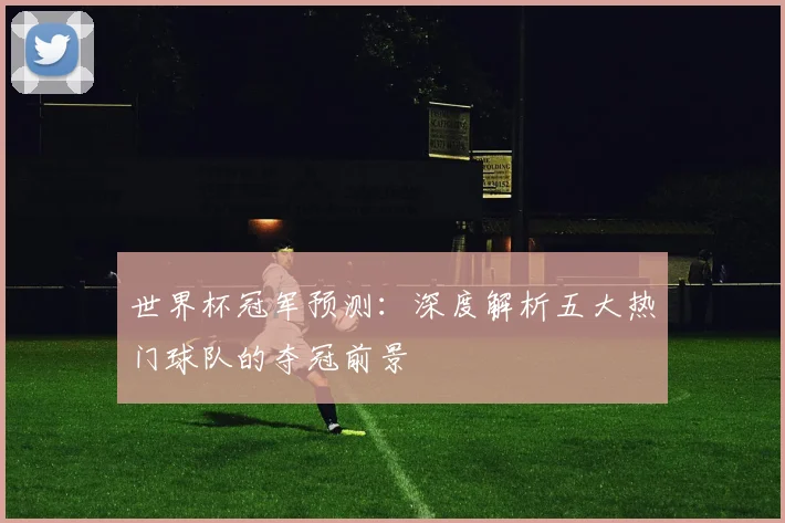 世界杯冠军预测:深度解析五大热门球队的夺冠前景