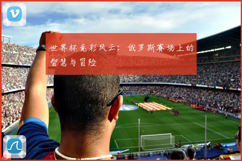 世界杯竟彩风云：俄罗斯赛场上的智慧与冒险