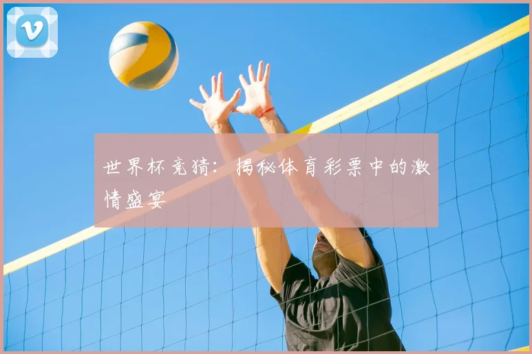 世界杯竞猜：揭秘体育彩票中的激情盛宴