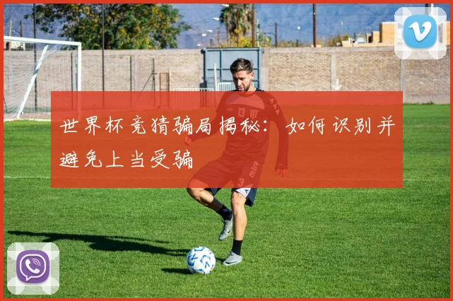 世界杯竞猜骗局揭秘：如何识别并避免上当受骗