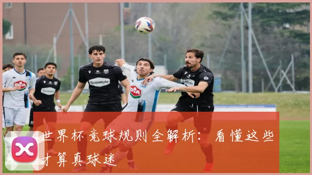 世界杯竞球规则全解析：看懂这些才算真球迷